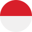 Indonesia circle flag icon
